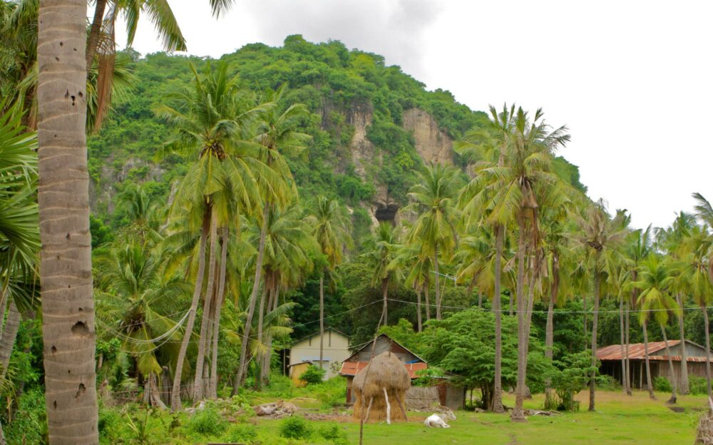 Maison Wat Kor Battambang Rondreis Cambodia Vakantie Original Asia