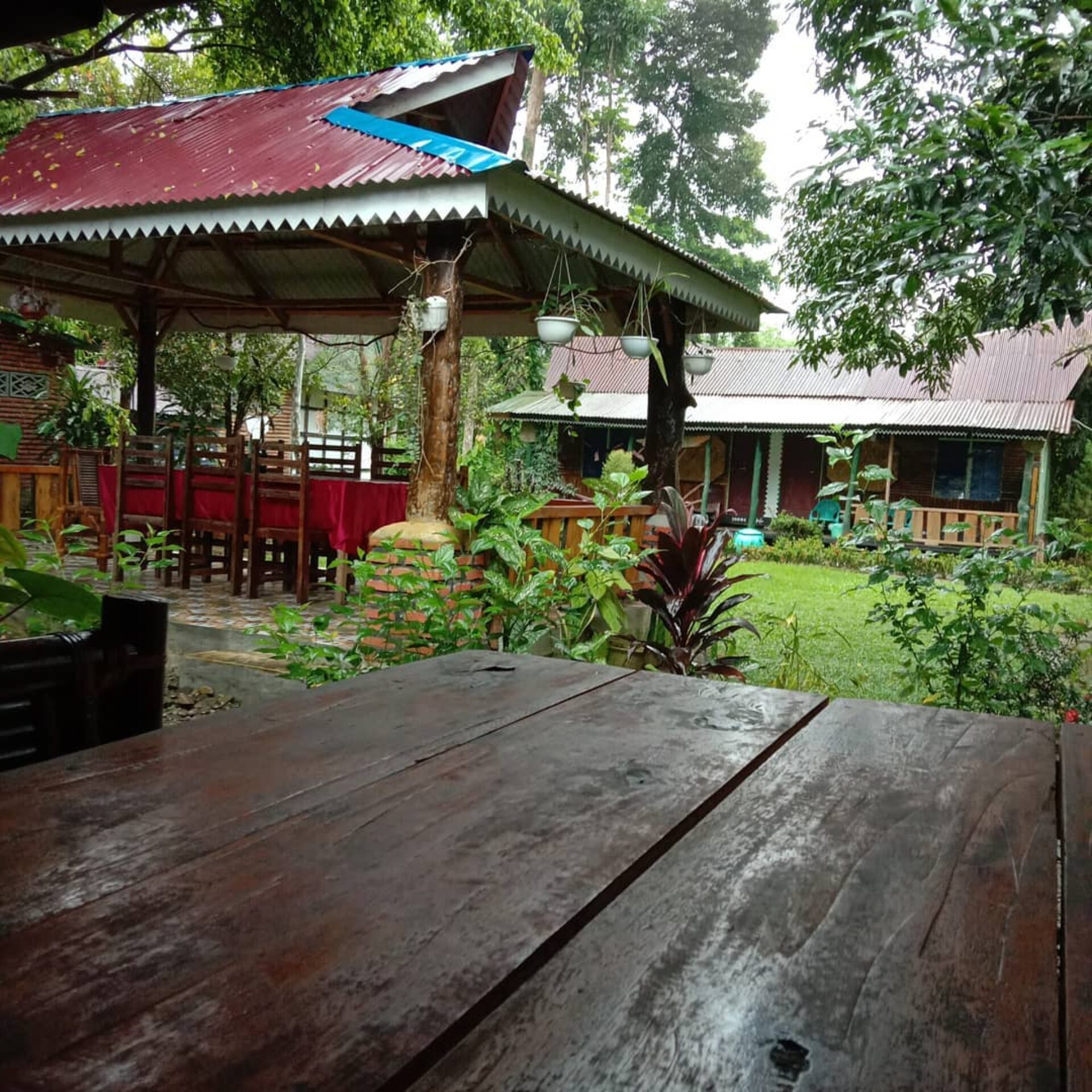 Mega Inn Guesthouse Tangkahan Rondreis Indonesia Vakantie Original Asia