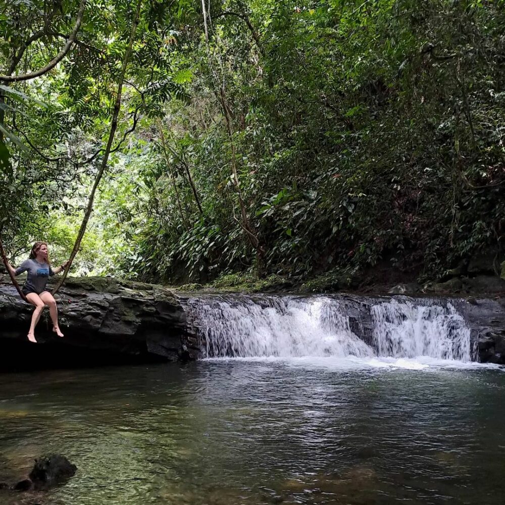 Mega Inn Guesthouse Tangkahan Rondreis Indonesia Vakantie Original Asia