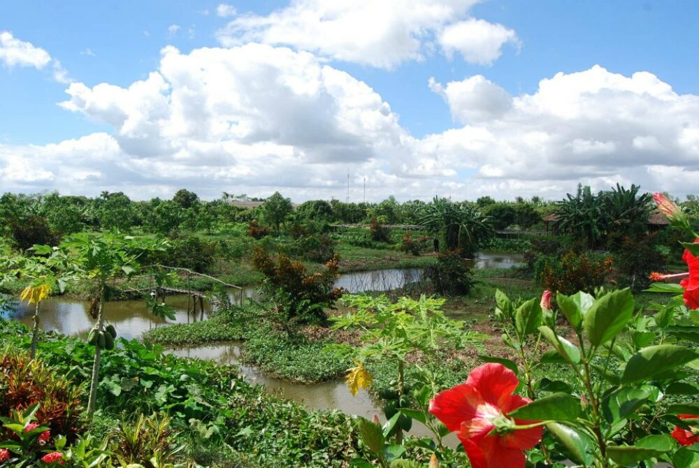 Mekong Riverside Resort Cai Be Rondreis Vietnam Vakantie Original Asi