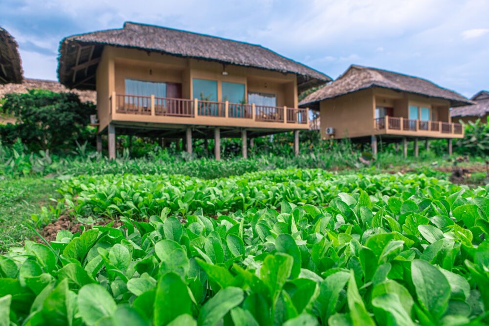 Mekong Riverside Resort Cai Be Rondreis Vietnam Vakantie Original Asi