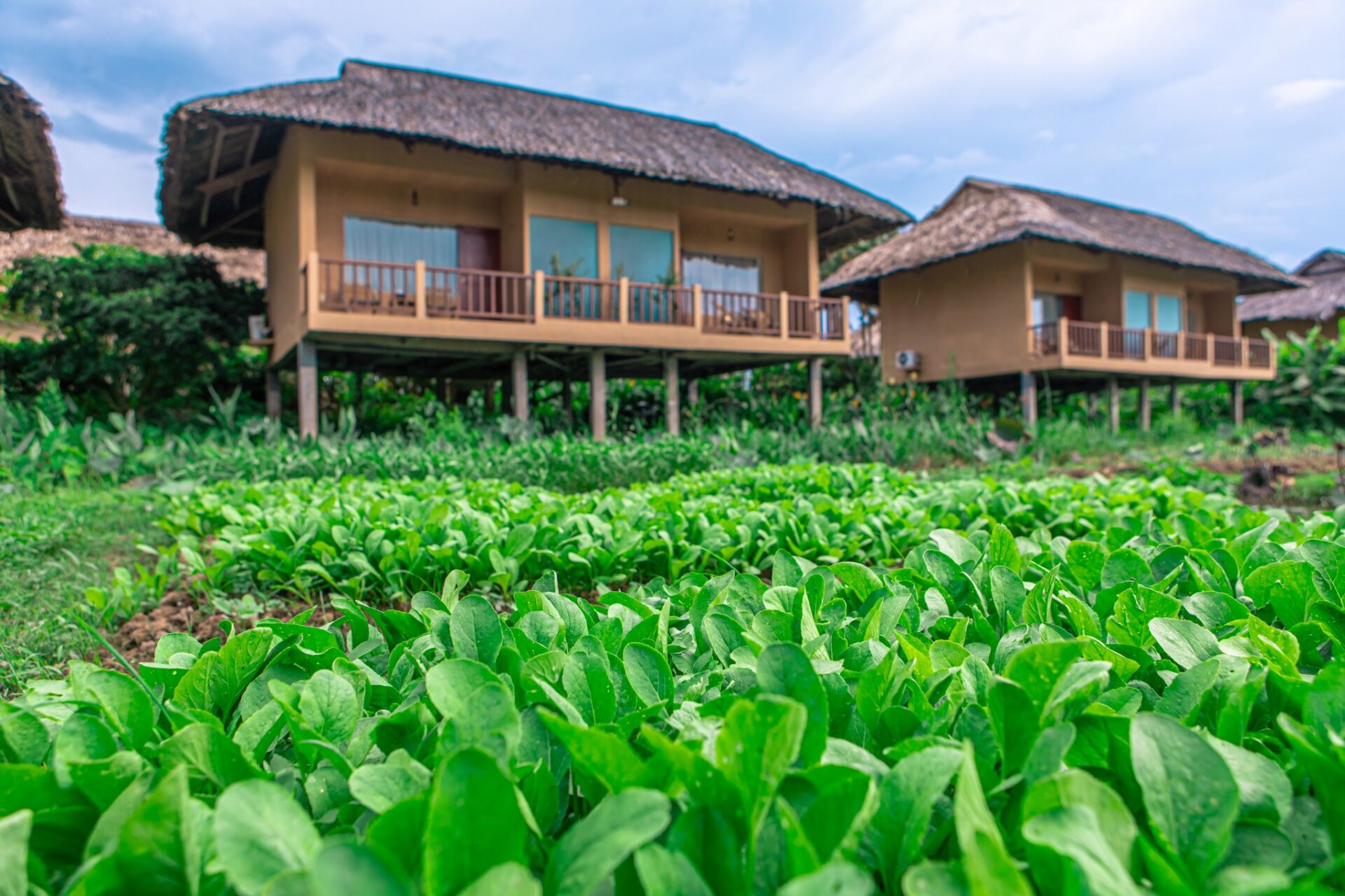 Mekong Riverside Resort Cai Be Rondreis Vietnam Vakantie Original Asi