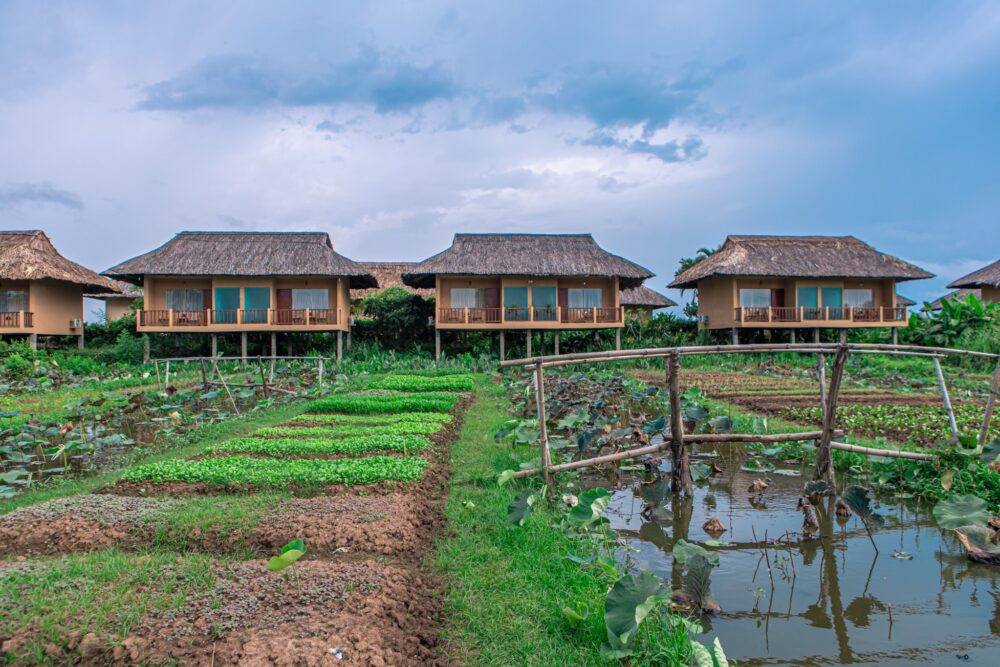 Mekong Riverside Resort Cai Be Rondreis Vietnam Vakantie Original Asi