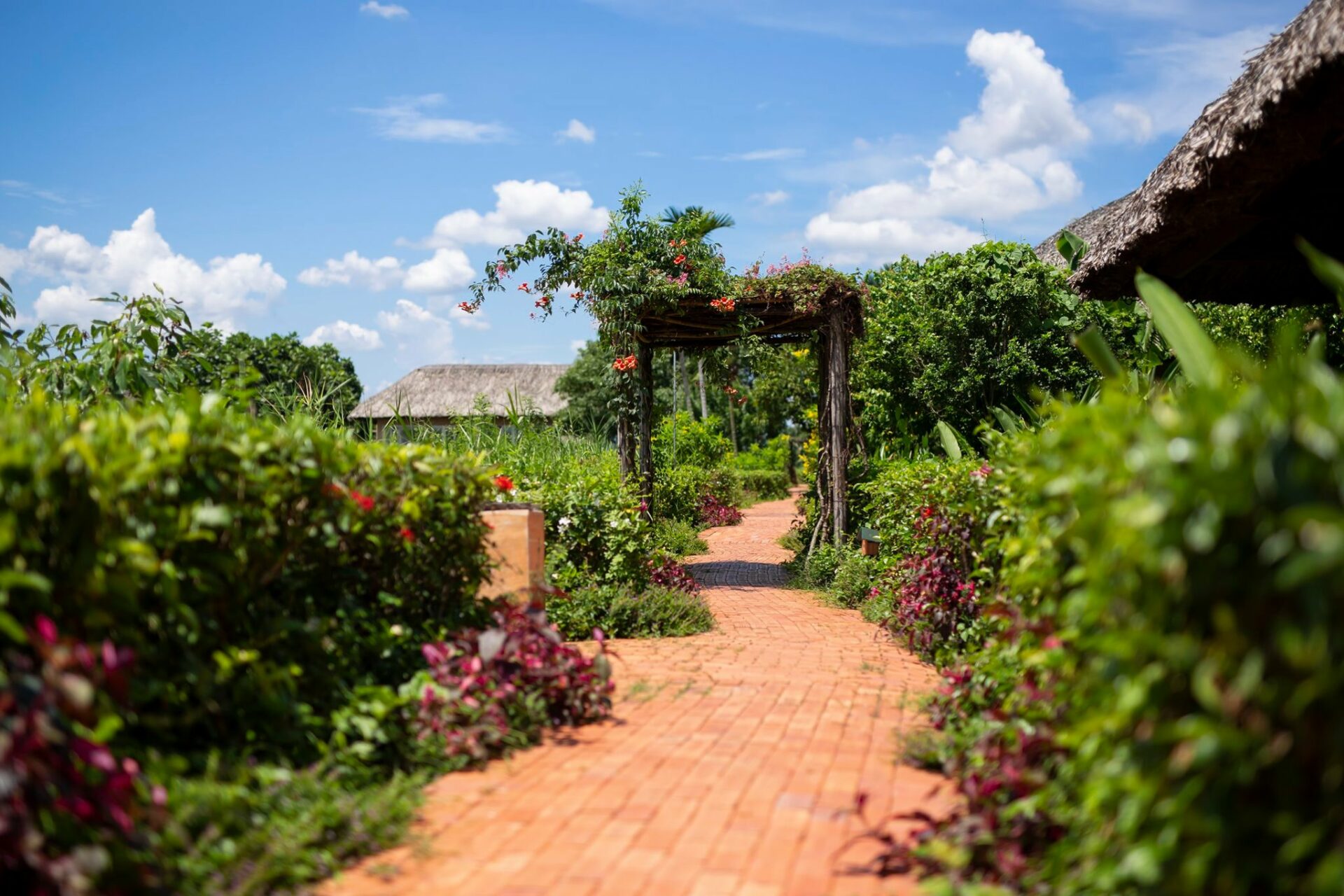 Mekong Riverside Resort Cai Be Rondreis Vietnam Vakantie Original Asi