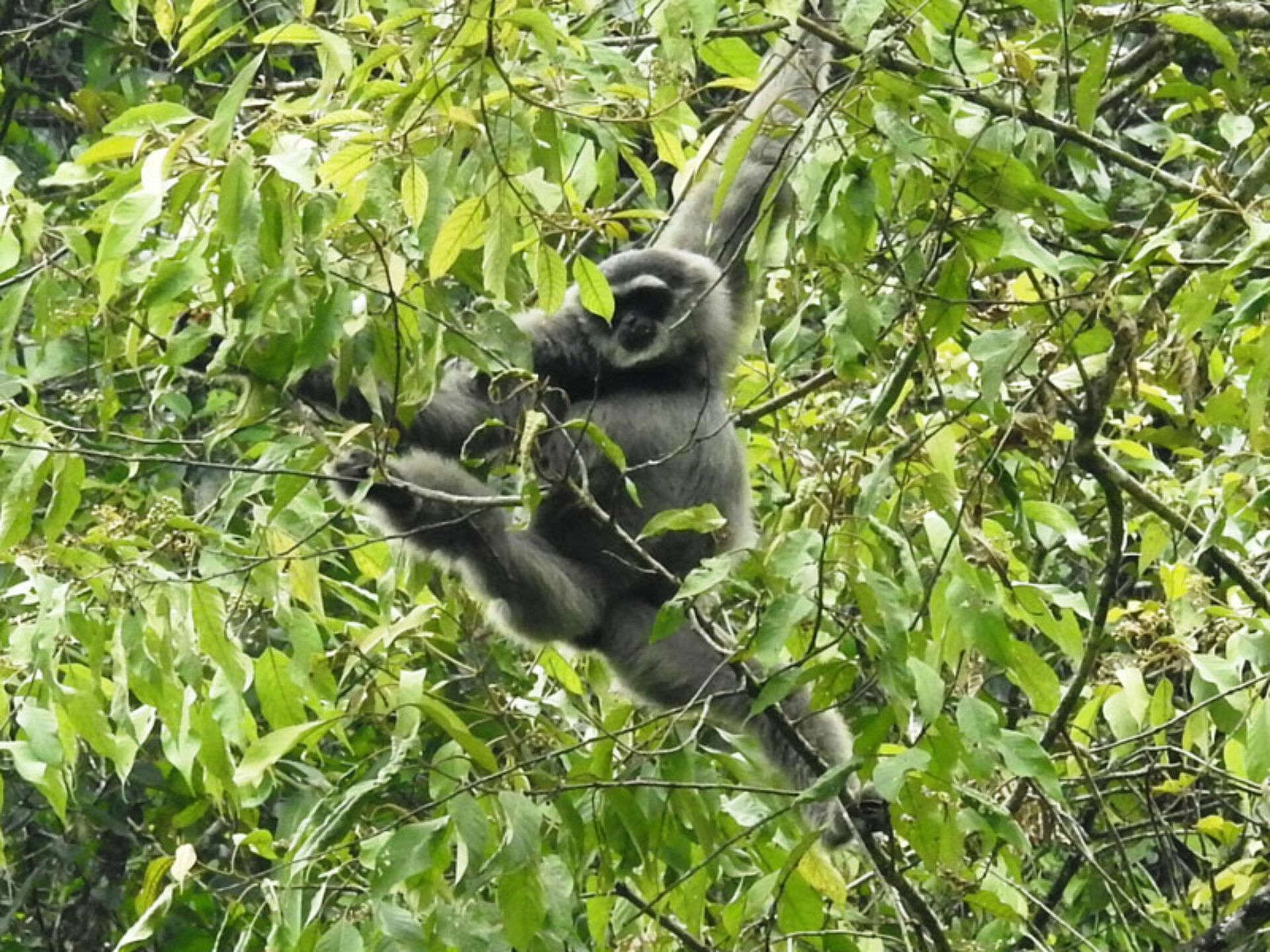 Ocean Queen Resort Pelabuhan Ratu Rondreis Indonesia Vakantie Original Asia