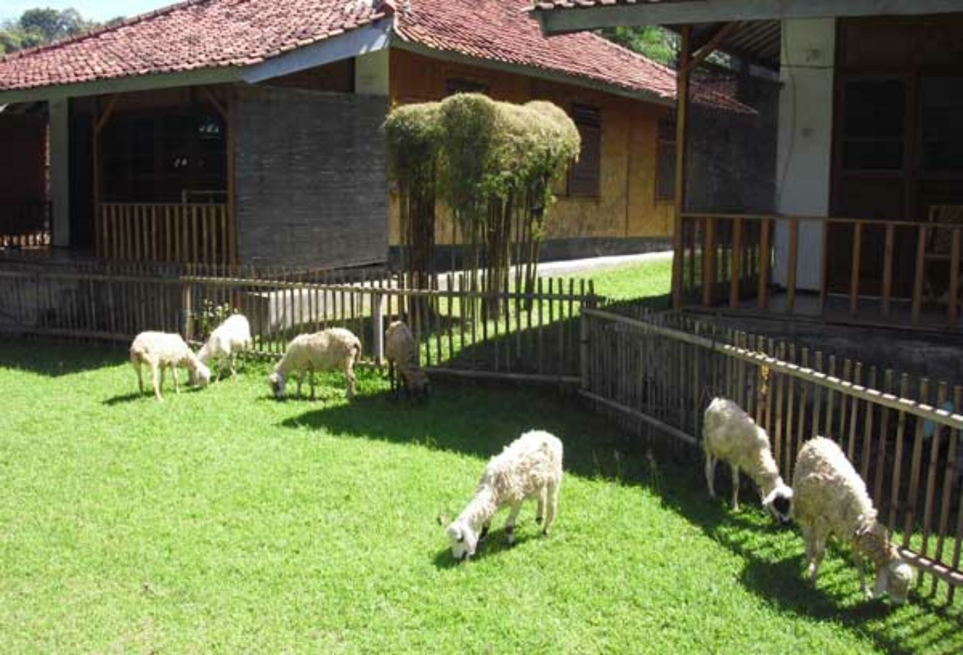 Ocean Queen Resort Pelabuhan Ratu Rondreis Indonesia Vakantie Original Asia