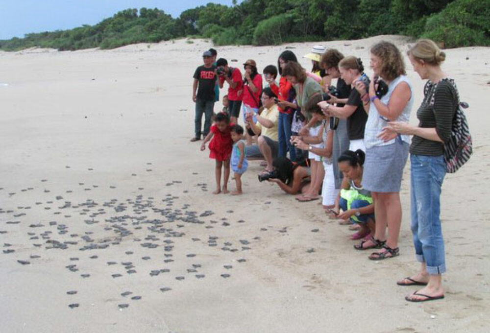 Ocean Queen Resort Pelabuhan Ratu Rondreis Indonesia Vakantie Original Asia