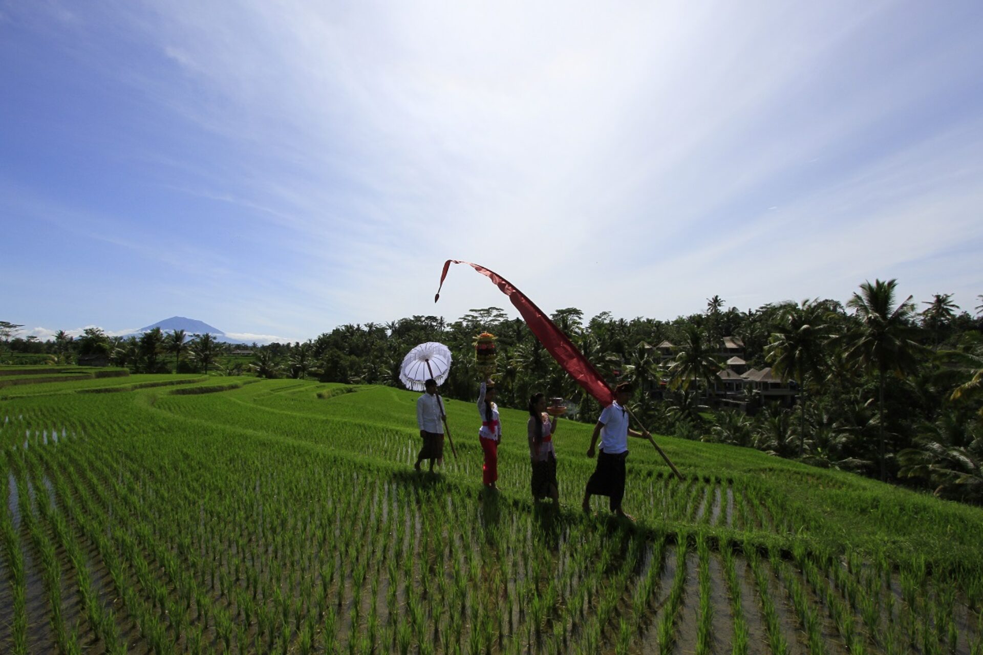 Puri Sebali Resort Hotel Ubud Original Asia Rondreis Bali Vakantie Indonesie