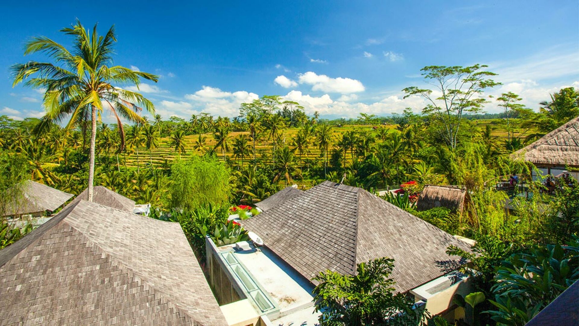 Puri Sebali Resort Hotel Ubud Original Asia Rondreis Bali Vakantie Indonesie
