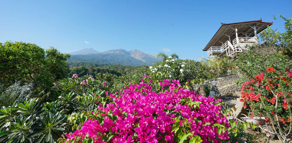 Rinjani Lodge Senaru Hotel Original Asia Rondreis Bali Lombok Vakantie Indonesie