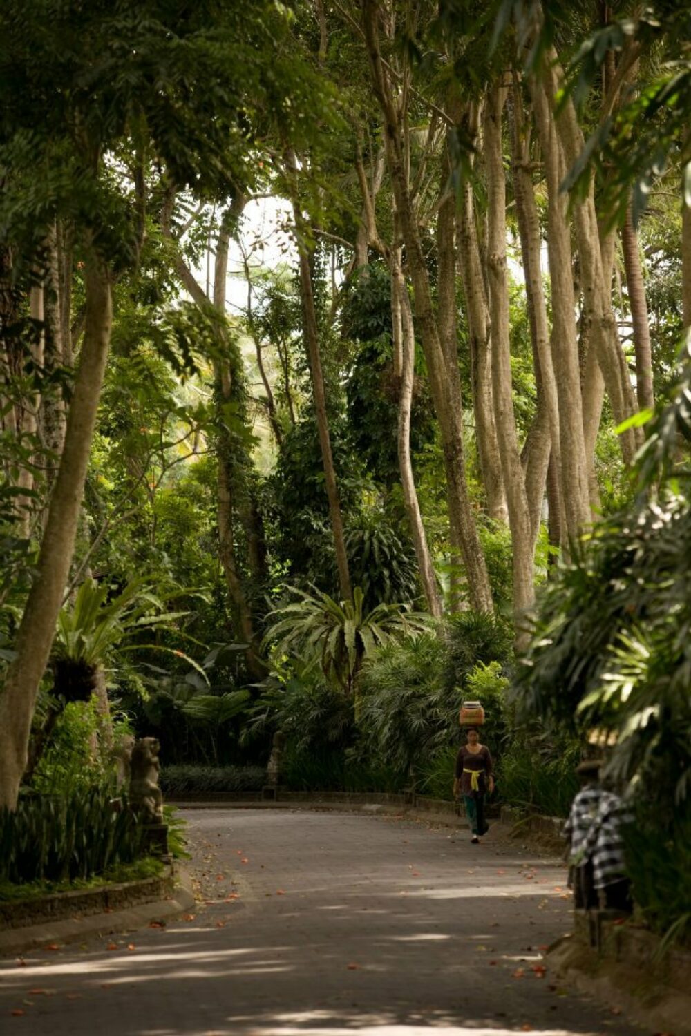 Royal Pita Maha Resort Ubud Hotel Original Asia Rondreis Bali Vakantie Indonesie