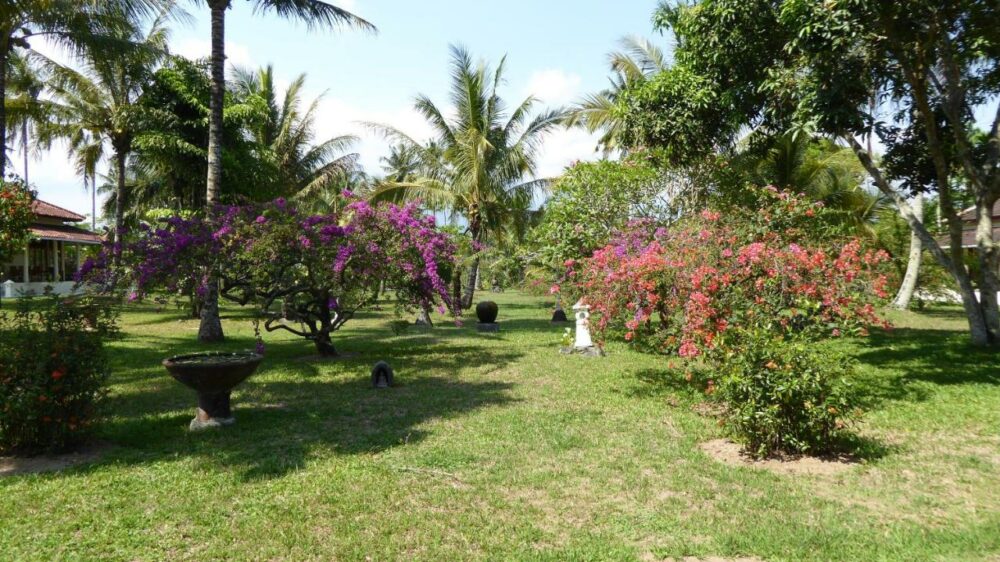 Rumah Kita Kalibaru Rondreis Indonesia Vakantie Original Asia