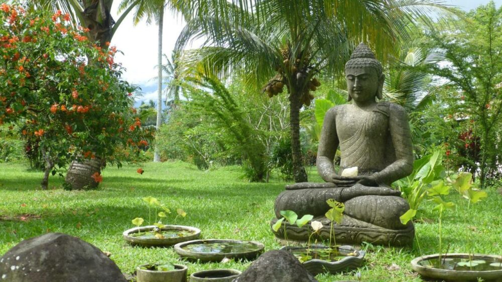 Rumah Kita Kalibaru Rondreis Indonesia Vakantie Original Asia