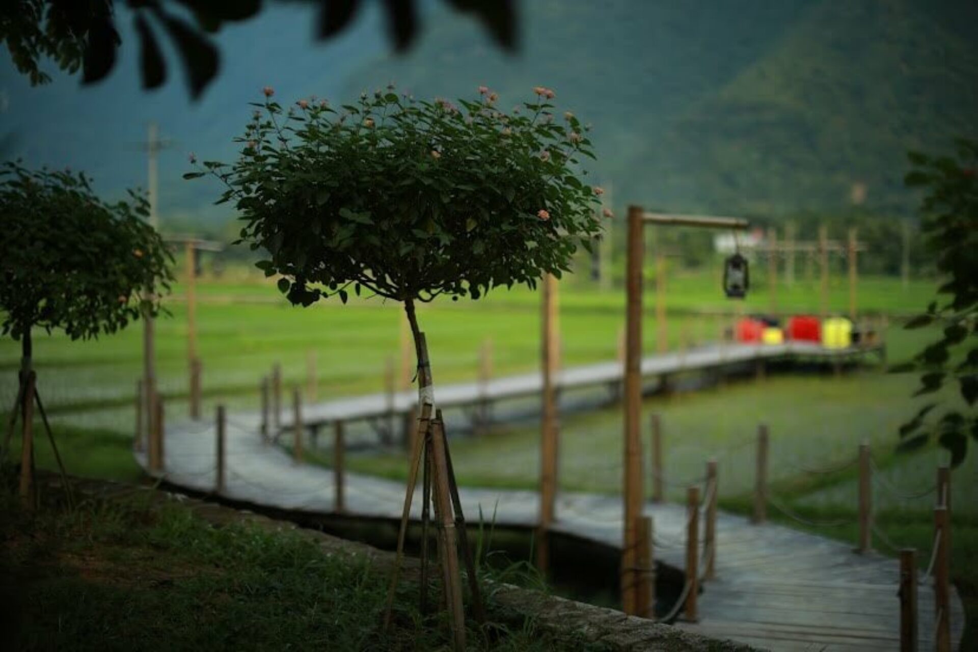 Sol Bungalows Resort Mai Châu Rondreis Vietnam Vakantie Original Asia