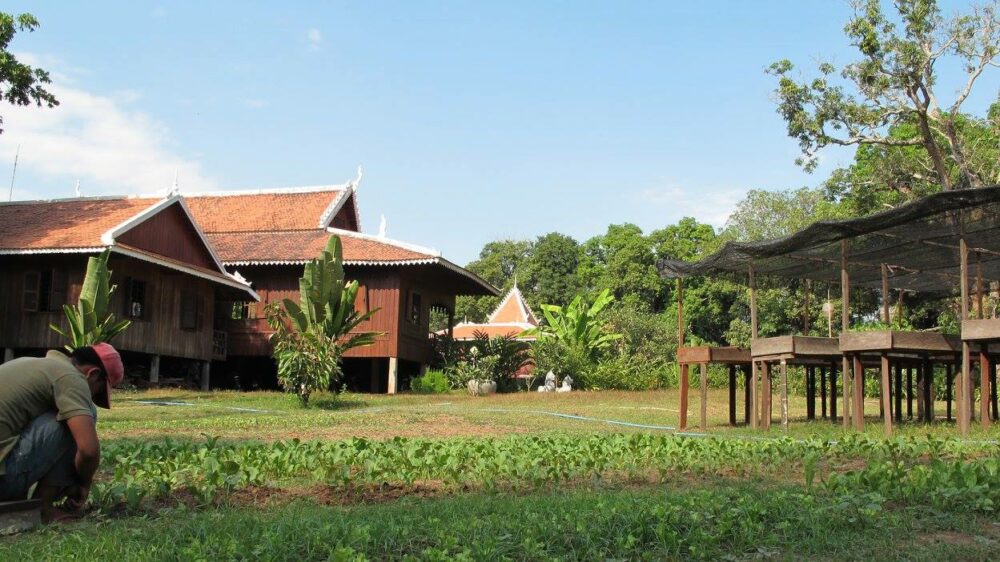 Soriyabori Villas Resort Kratie Rondreis Cambodia Vakantie Original Asia