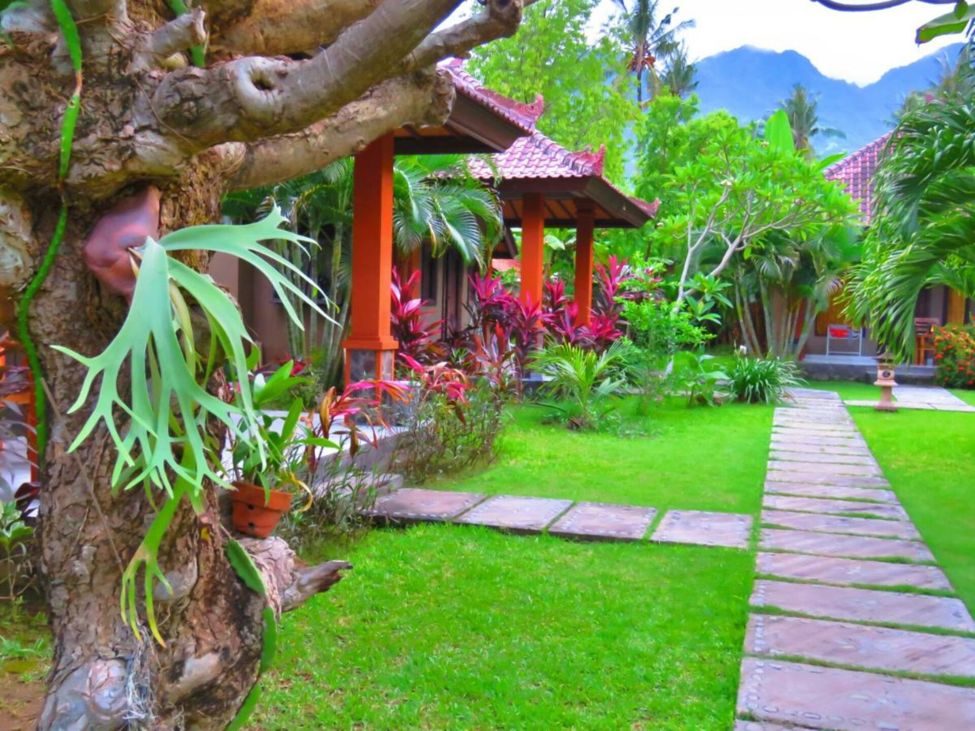 Suka Sari Cottages Resort Pemuteran Hotel Original Asia Rondreis Bali Vakantie Indonesia cottages