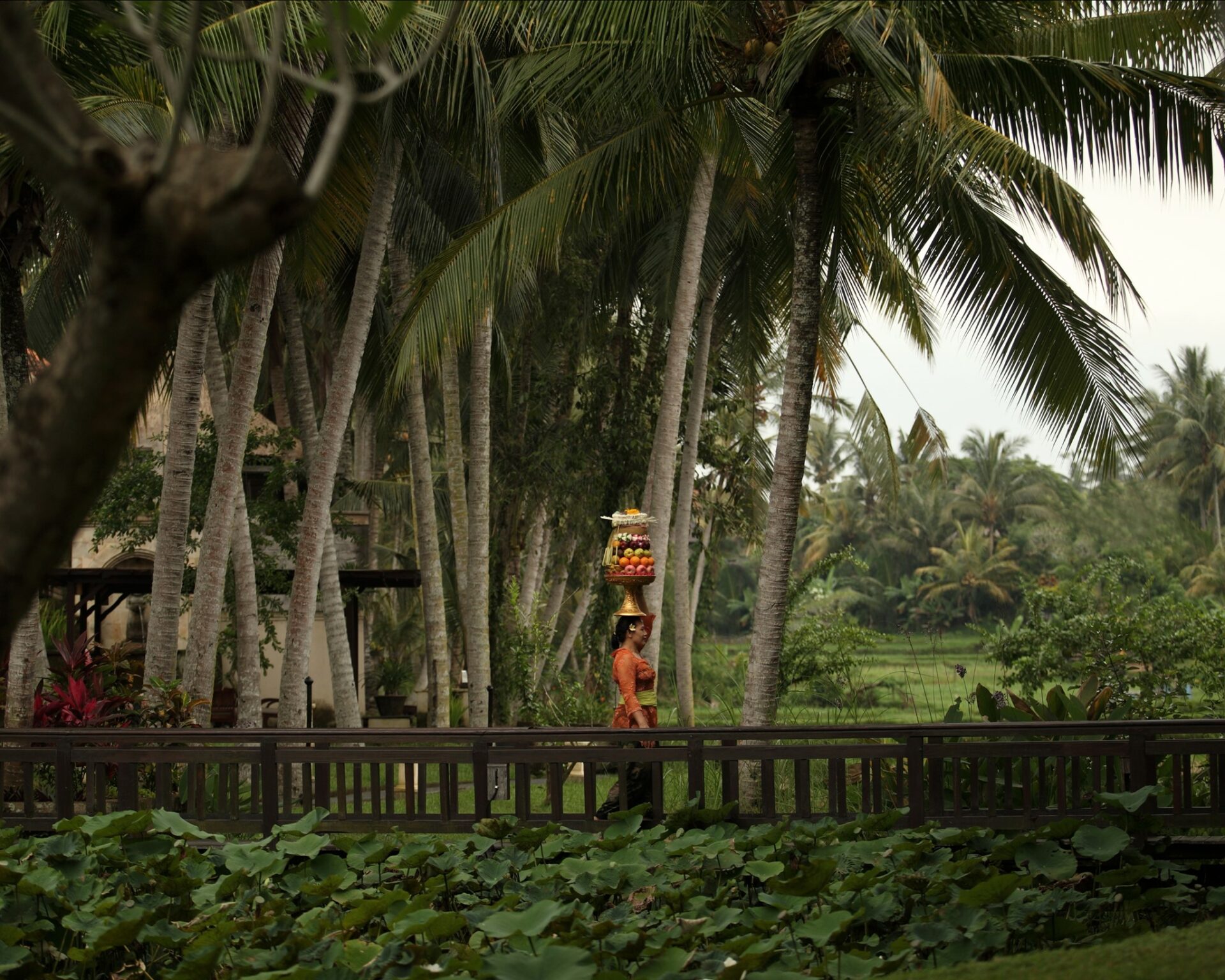 Ubud Village Resort Hotel Original Asia Rondreis Bali Vakantie Indonesie