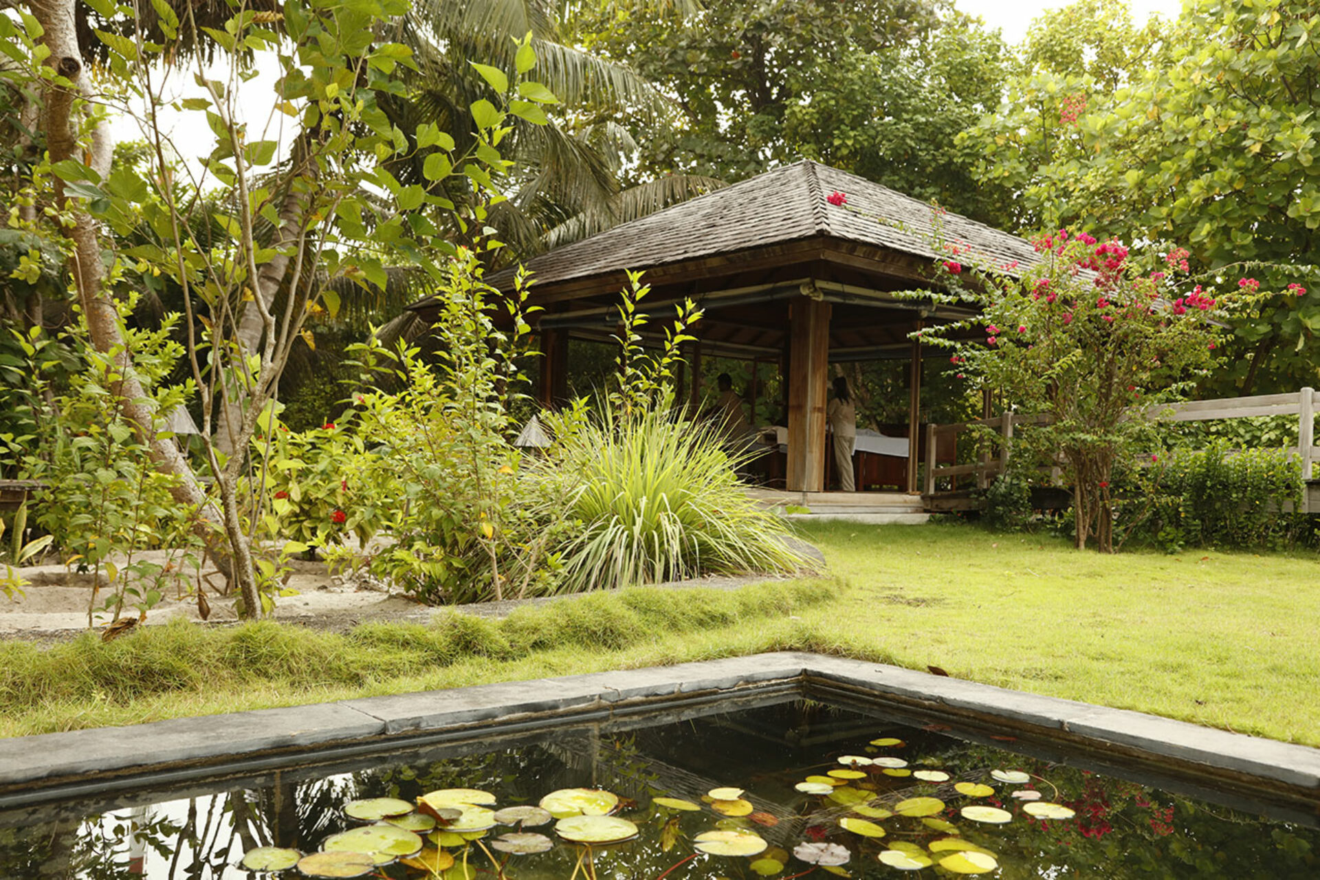 barefoot maldives malediven original asia rondreis sri lanka malediven vakantie tuin