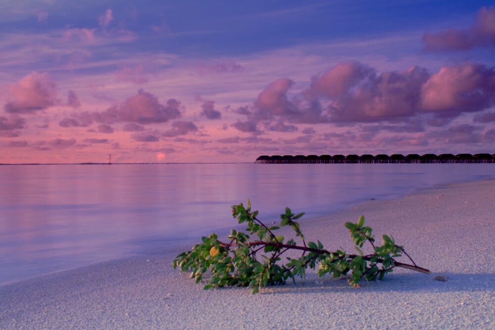 meeru island resort malediven original asia rondreis sri lanka vakantie sunset