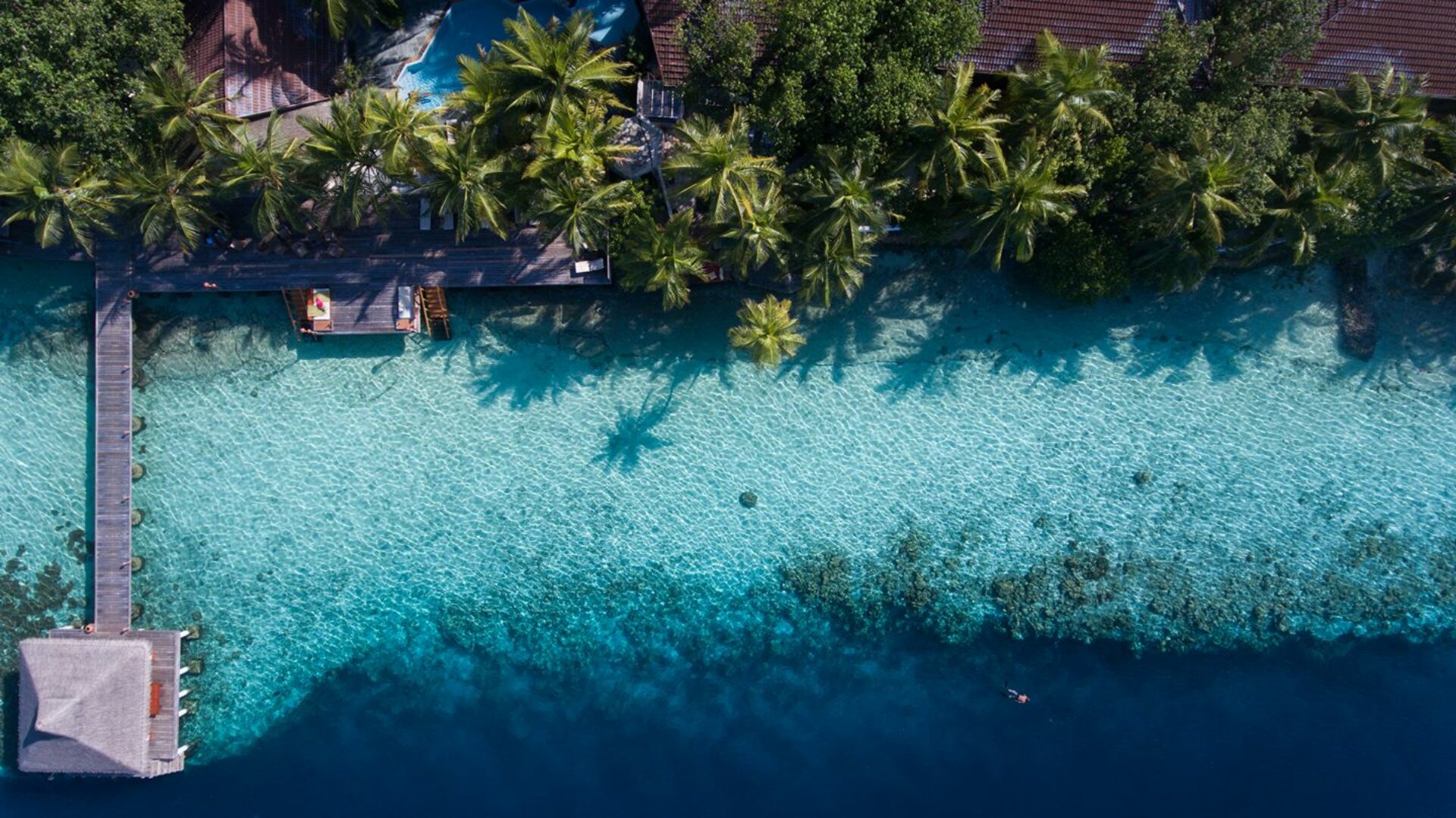 ranveli village resort malediven original asia rondreis sri lanka malediven strand1