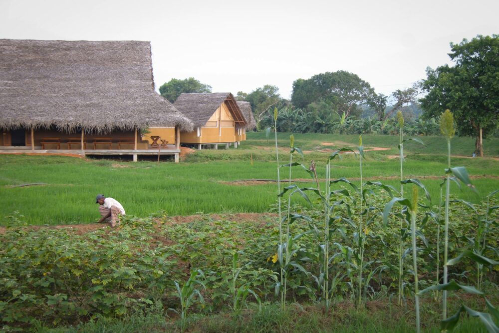 Aliya Resort and Spa Sigiriya Rondreis Sri Lanka Vakantie Original Asia