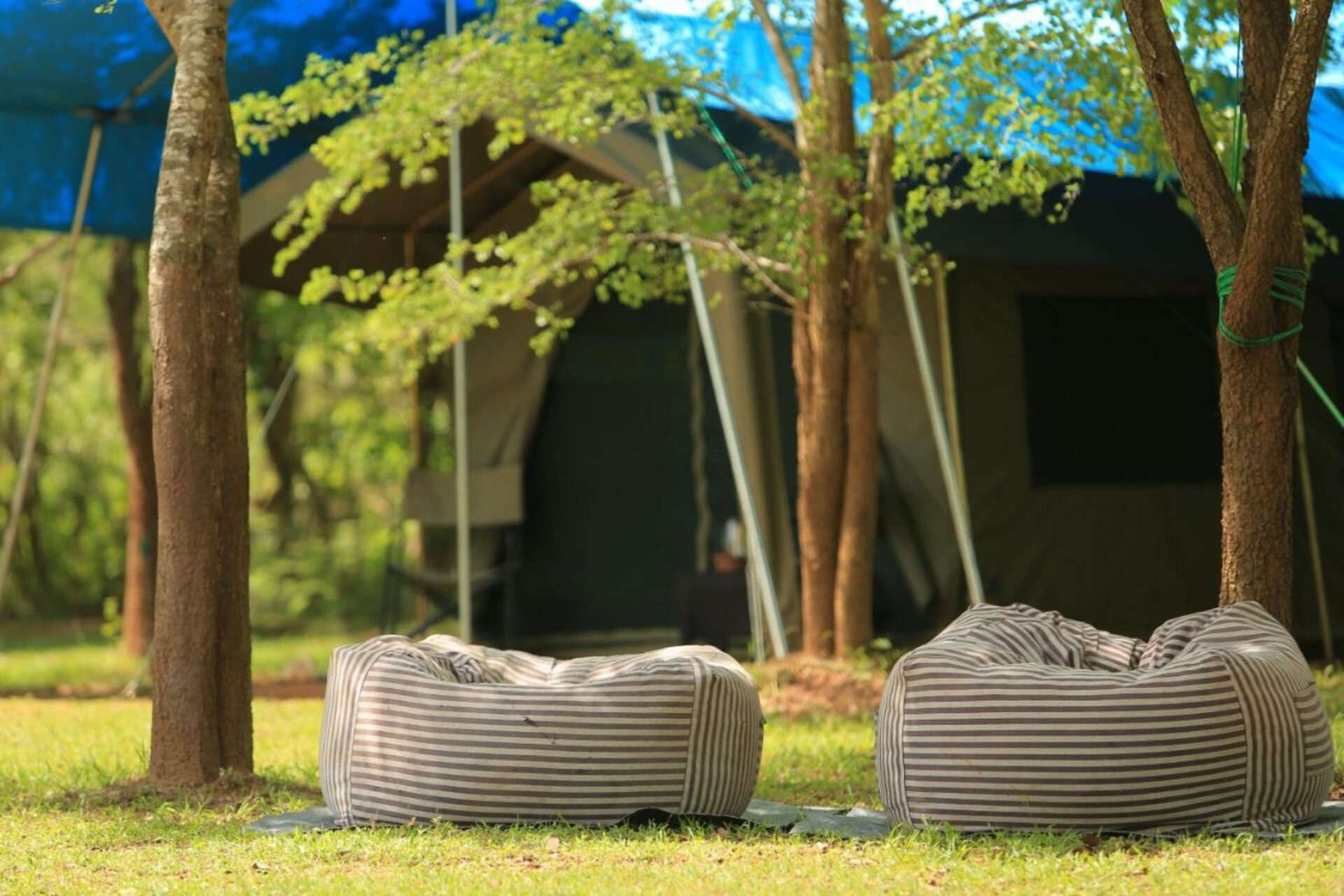 Big Game Camp Wilpattu Rondreis Sri Lanka Vakantie Original Asia