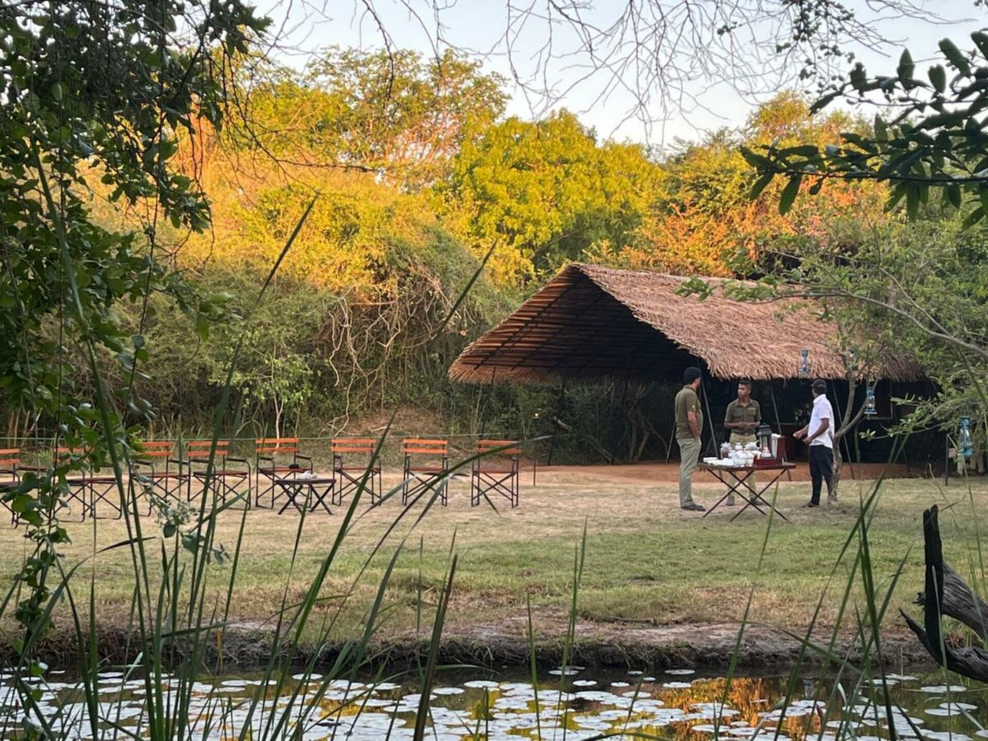 Big Game Camp Wilpattu Rondreis Sri Lanka Vakantie Original Asia