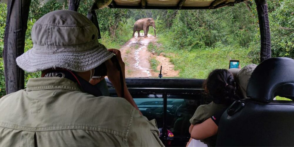 Big Game Camp Wilpattu Rondreis Sri Lanka Vakantie Original Asia