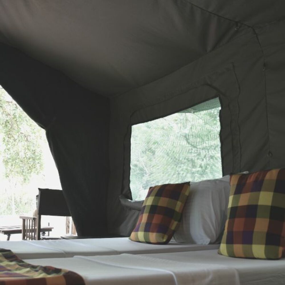 Big Game Camp Wilpattu Rondreis Sri Lanka Vakantie Original Asia