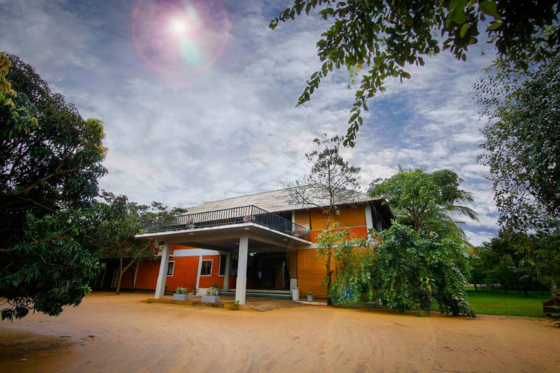 Elephas Sigiriya Dambulla Rondreis Sri Lanka Vakantie Original Asia