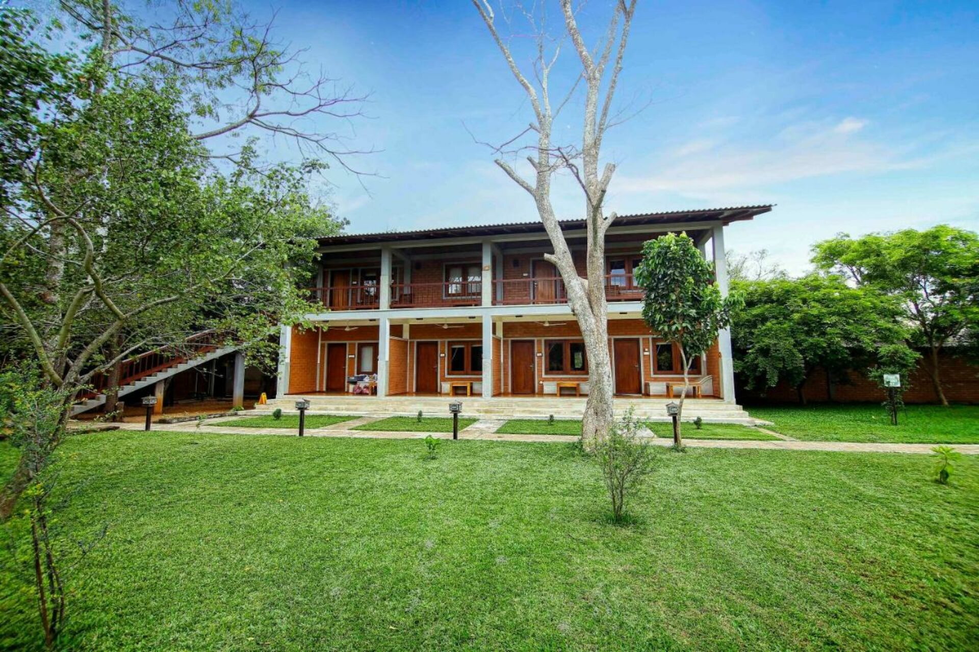 Elephas Sigiriya Dambulla Rondreis Sri Lanka Vakantie Original Asia