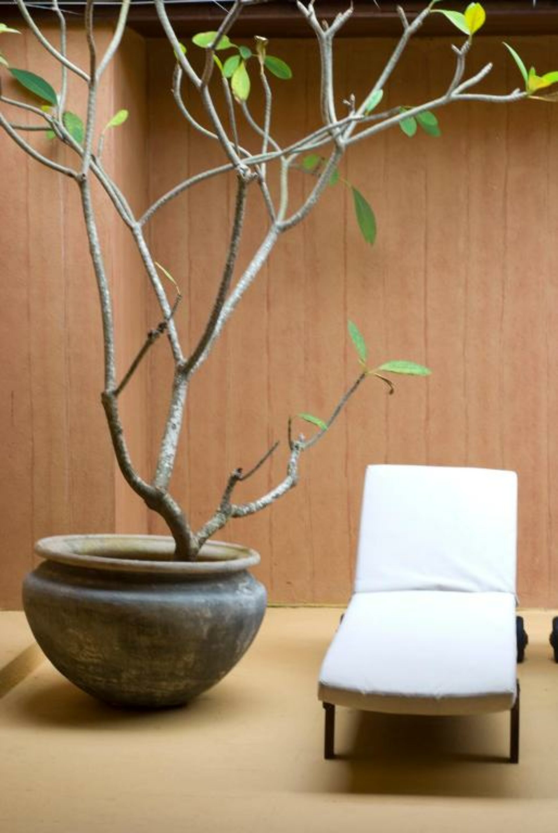 Jetwing Beach Resort Negombo Rondreis Sri Lanka Vakantie Original Asia