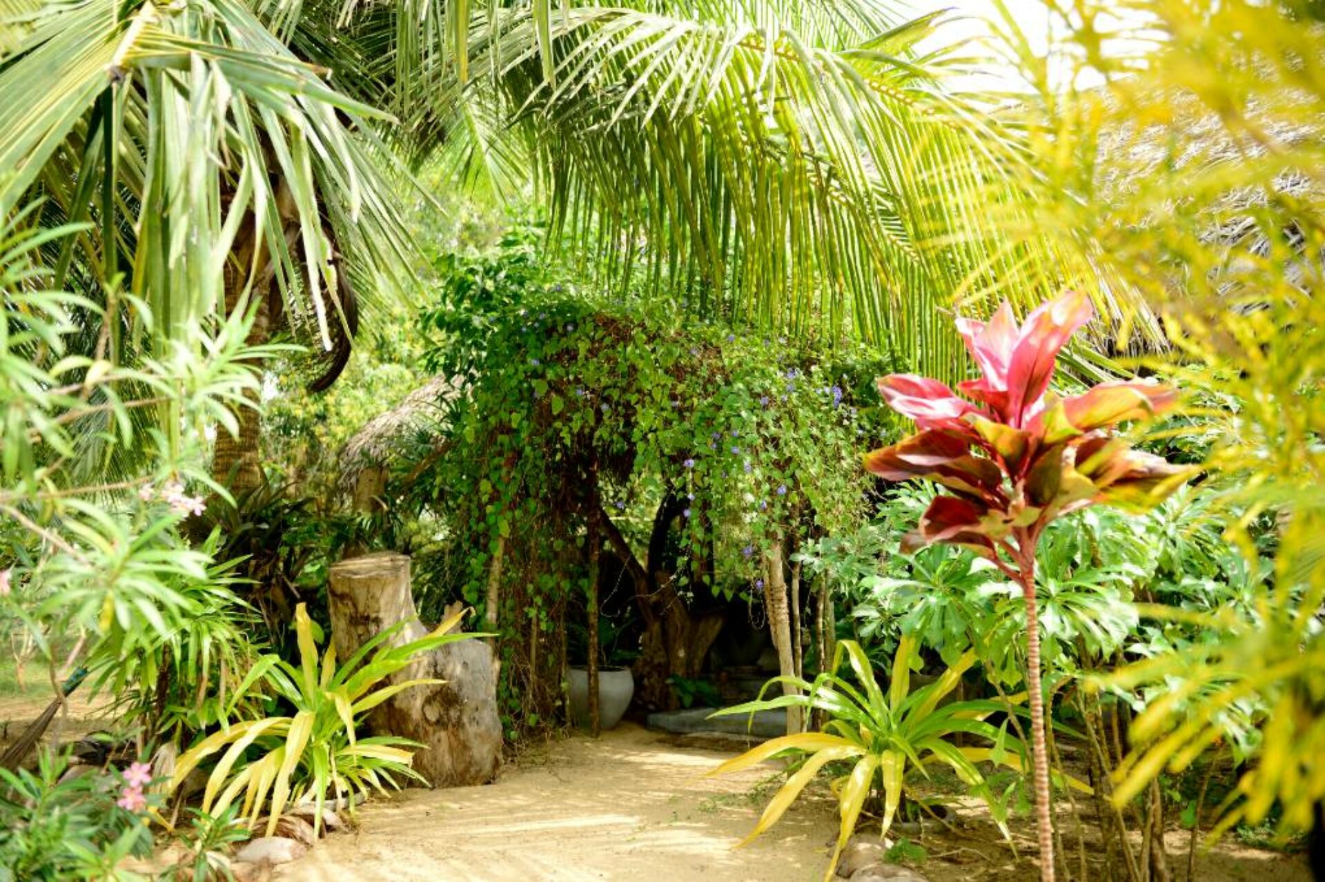 Palagama Beach Hotel Kalpitiya Rondreis Sri Lanka Vakantie Original Asia