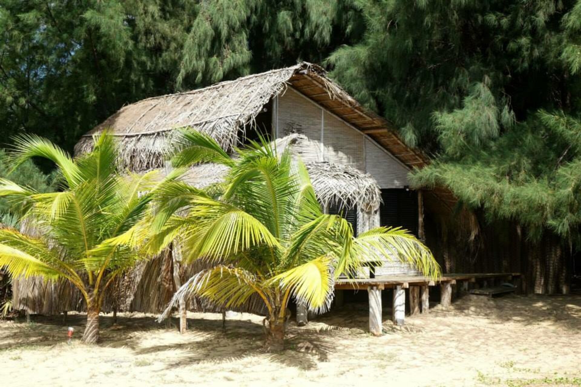 Palagama Beach Hotel Sri Lanka original asia rondreis sri lanka malediven vakantie hutje