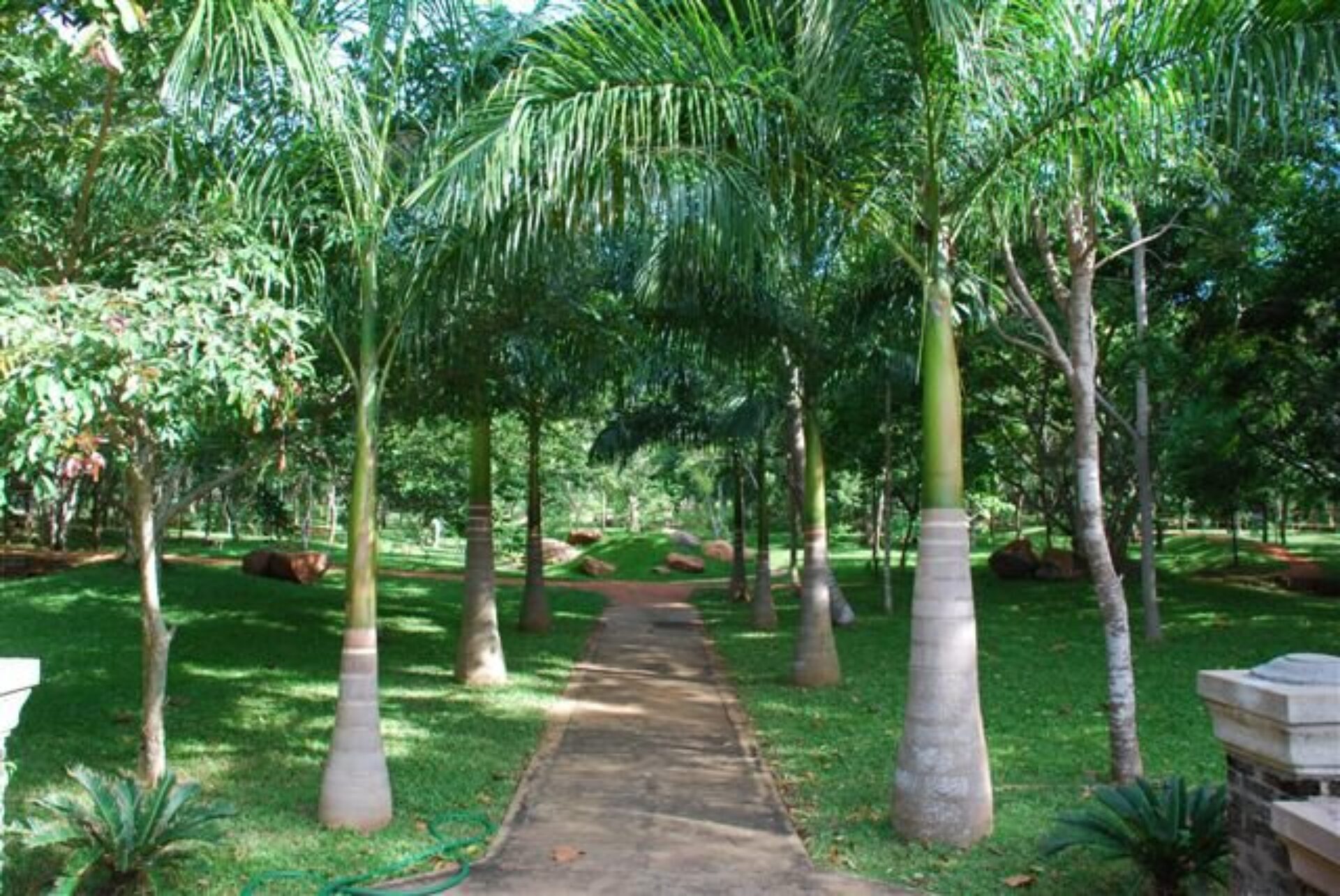 Palm Garden Village Anuradhapura Rondreis Sri Lanka Vakantie Original Asi
