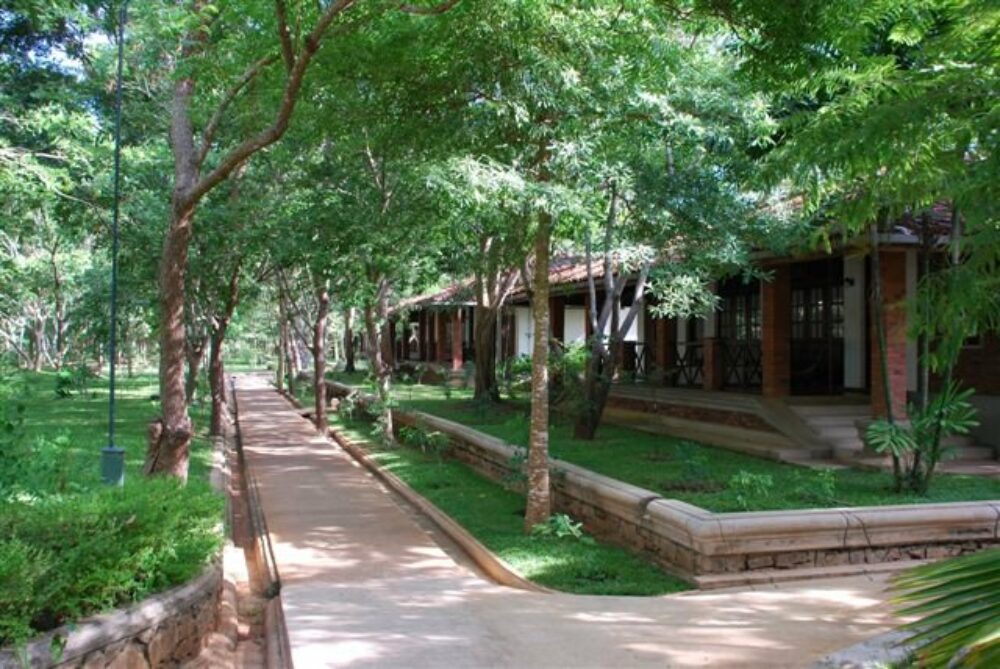 Palm Garden Village Anuradhapura Rondreis Sri Lanka Vakantie Original Asi