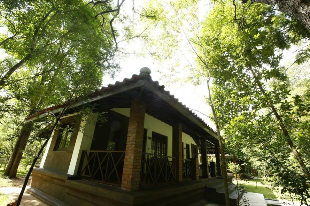 Palm Garden Village Anuradhapura Rondreis Sri Lanka Vakantie Original Asi