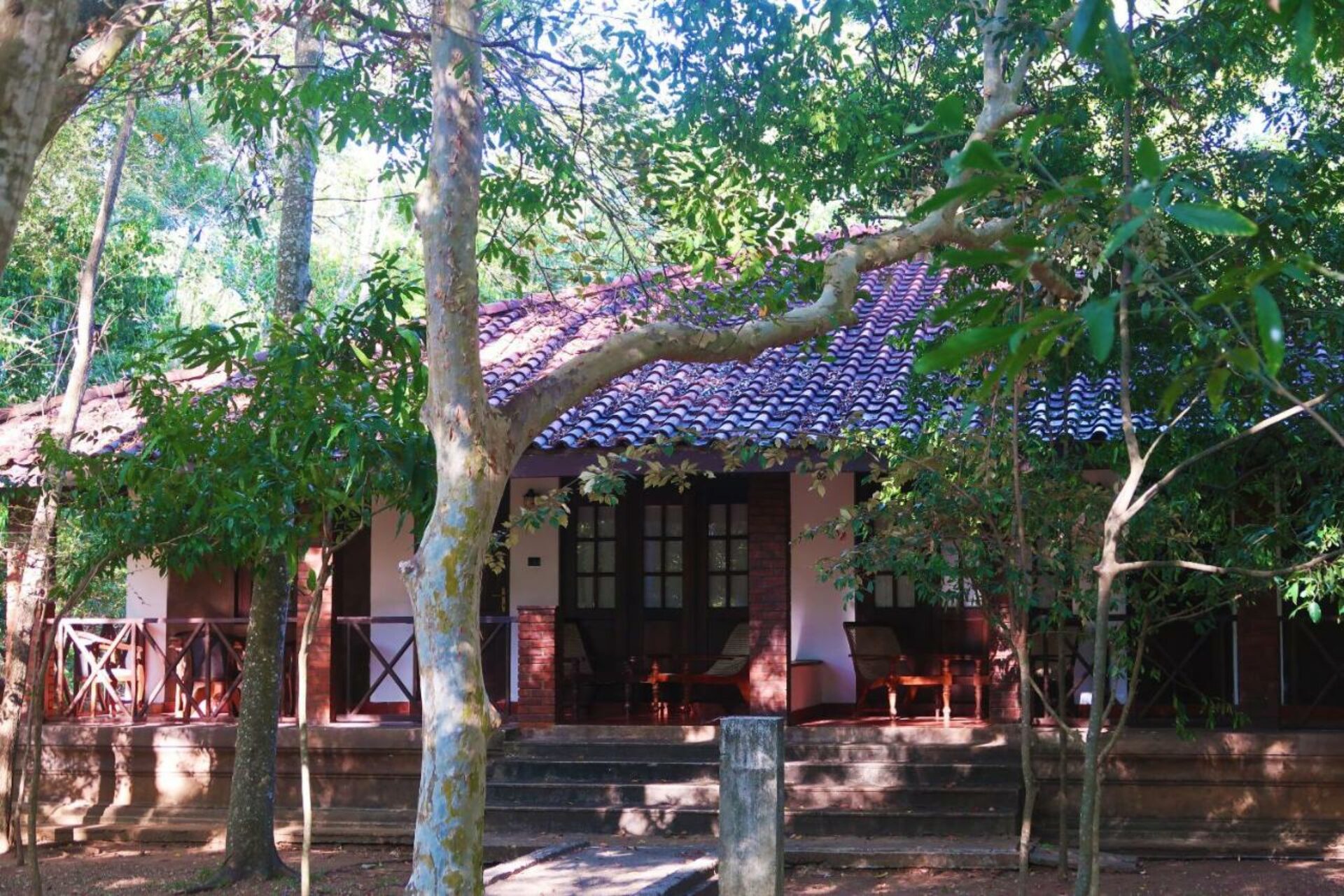 Palm Garden Village Anuradhapura Rondreis Sri Lanka Vakantie Original Asi