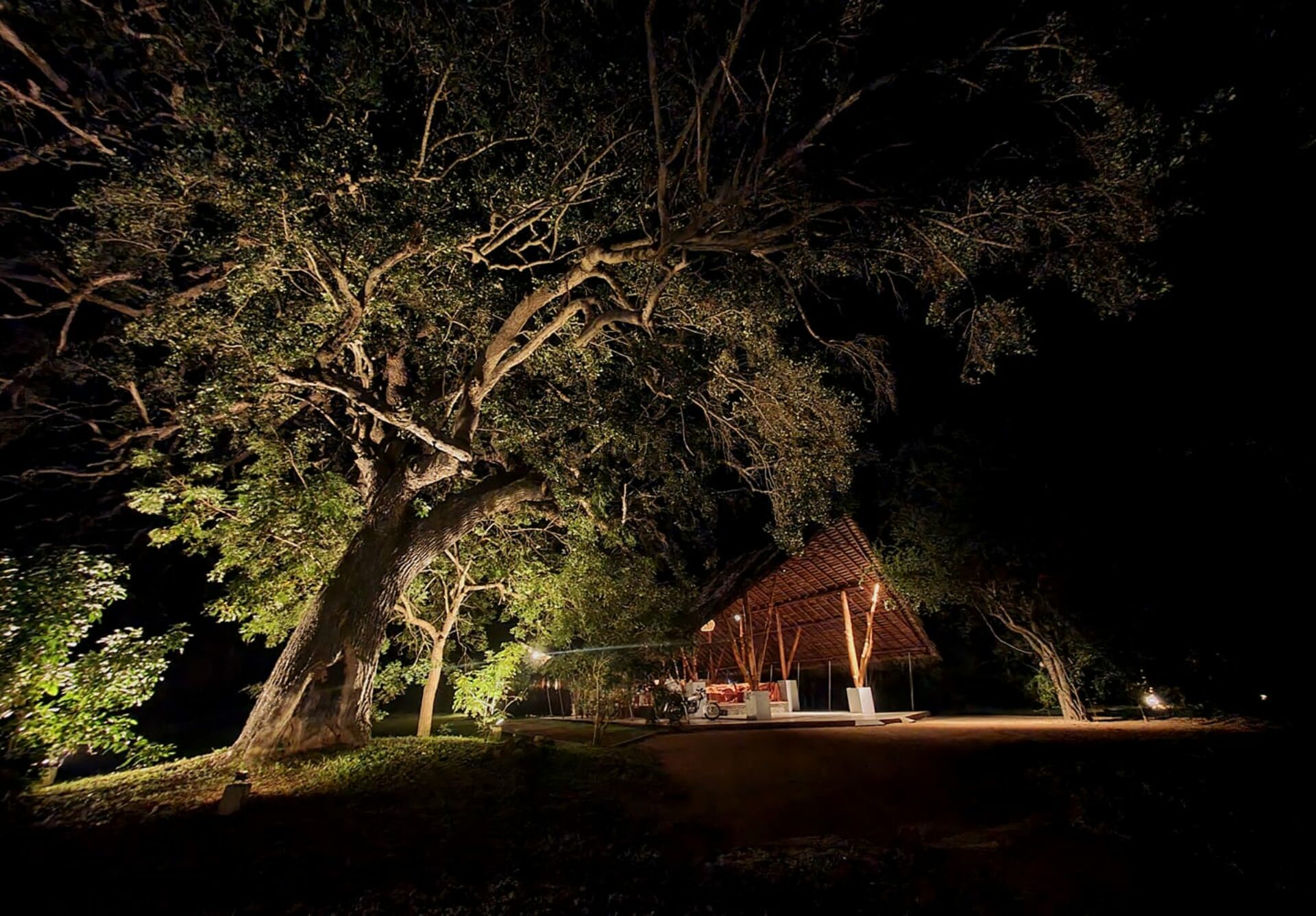 Thamaravila Wilpattu Sri Lanka original asia rondreis sri lanka malediven vakantie boom