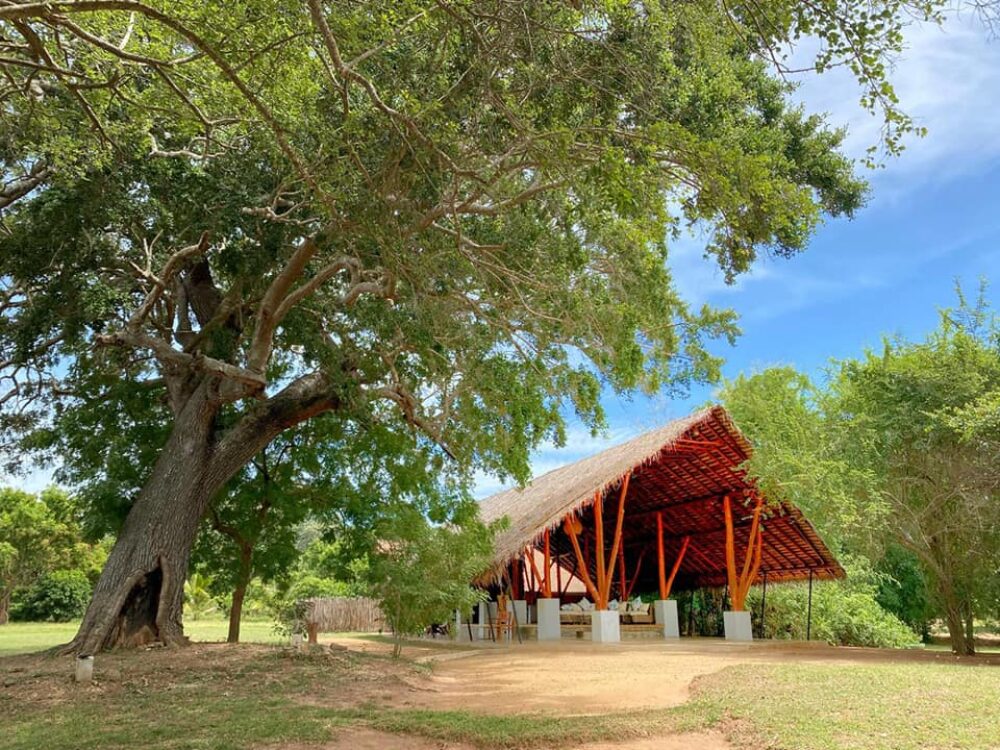 Thamaravila Wilpattu Sri Lanka original asia rondreis sri lanka malediven vakantie boom1