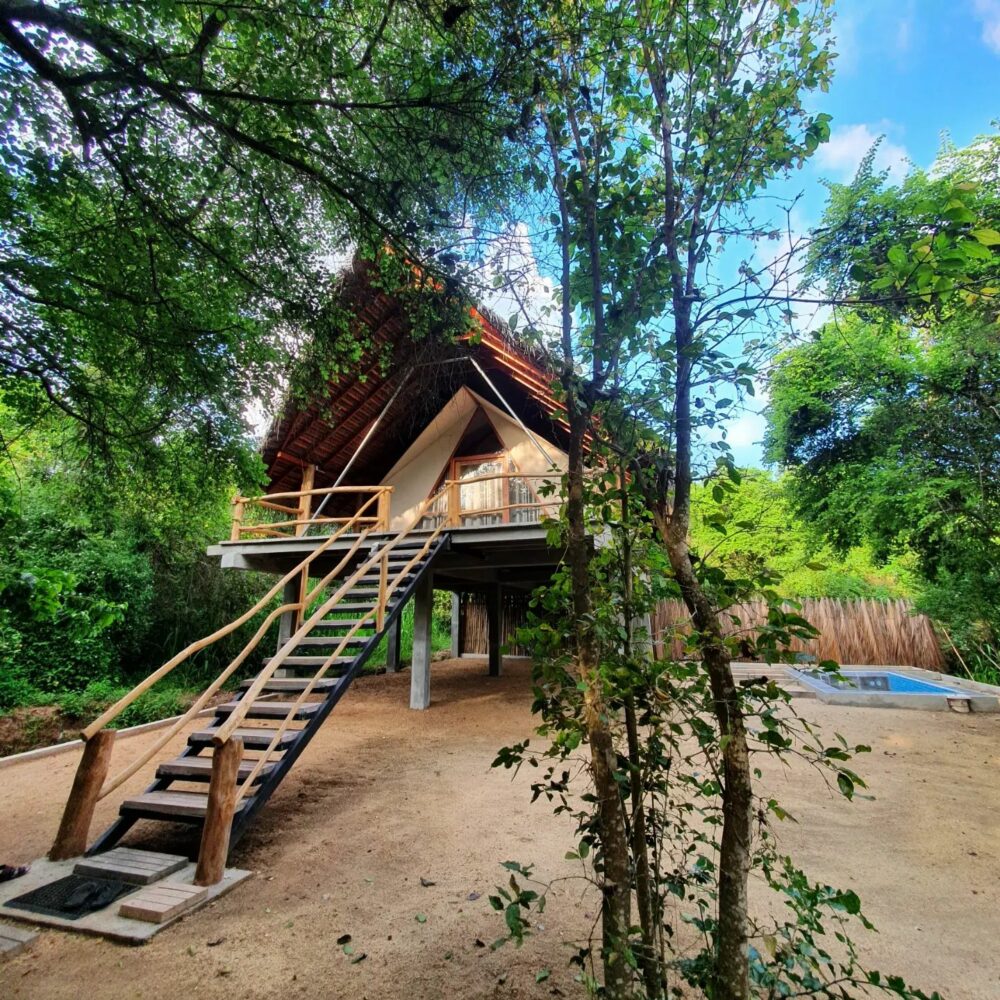 Thamaravila Wilpattu Sri Lanka original asia rondreis sri lanka malediven vakantie boomhut