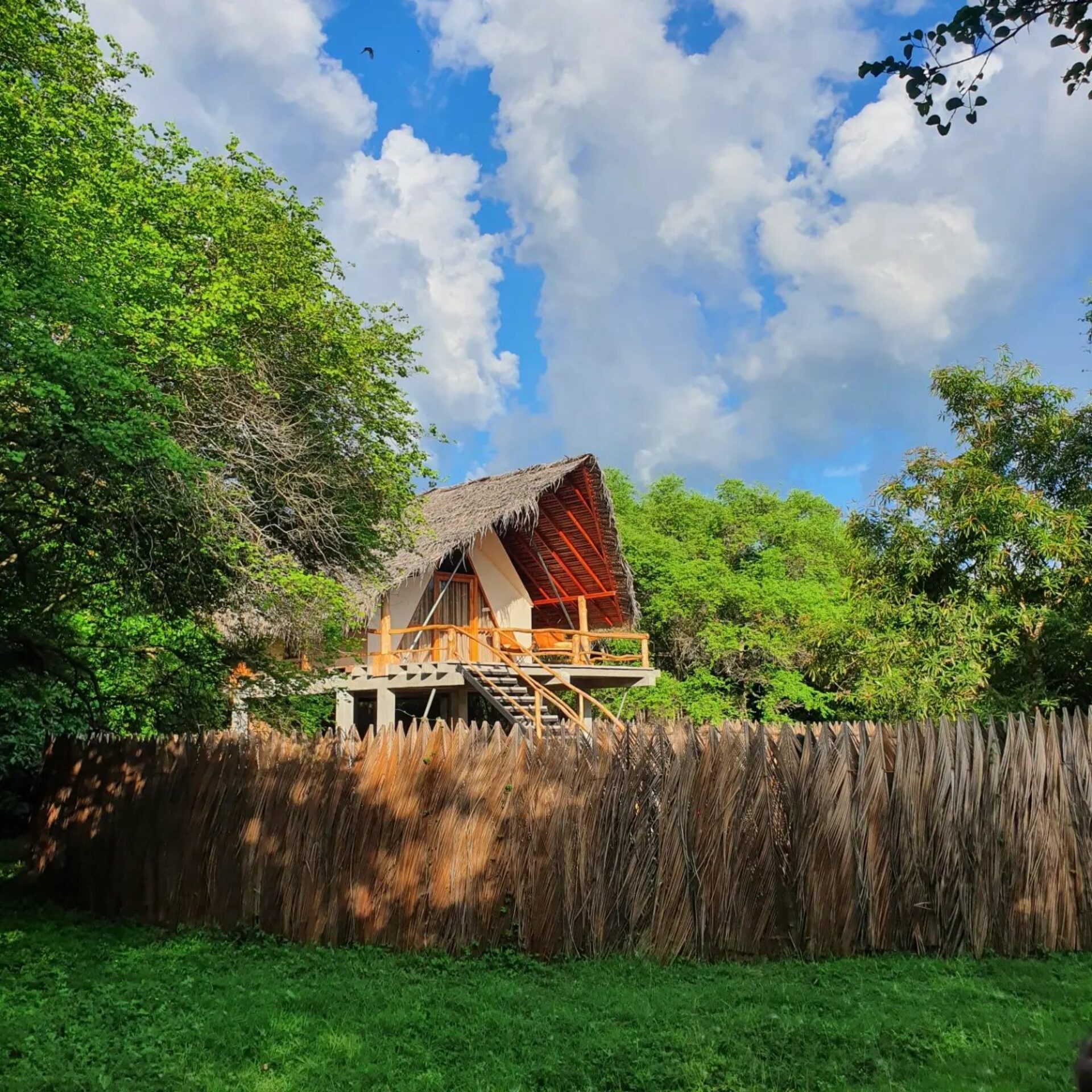 Thamaravila Wilpattu Sri Lanka original asia rondreis sri lanka malediven vakantie boomhut1