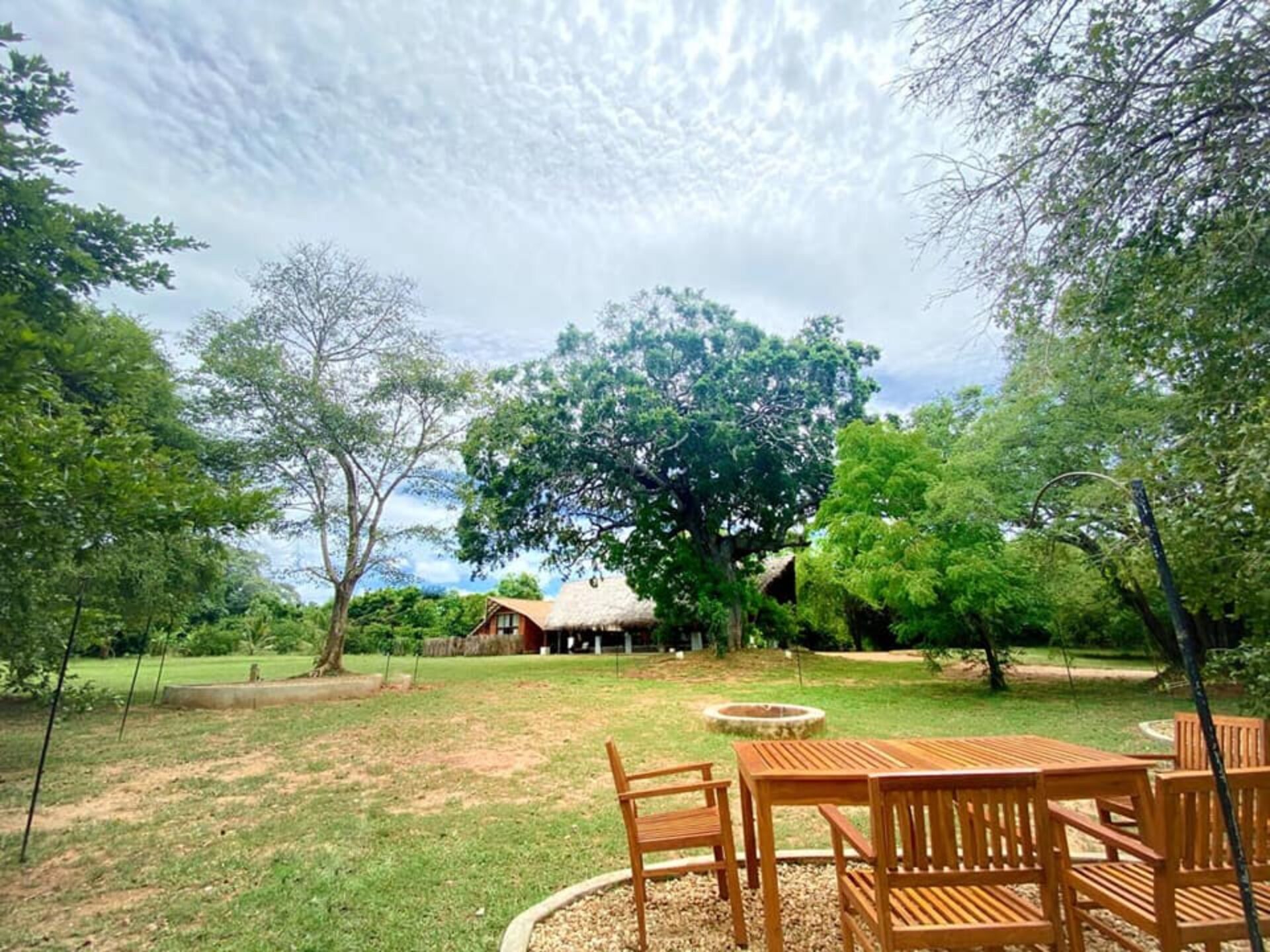 Thamaravila Wilpattu Sri Lanka original asia rondreis sri lanka malediven vakantie tuin