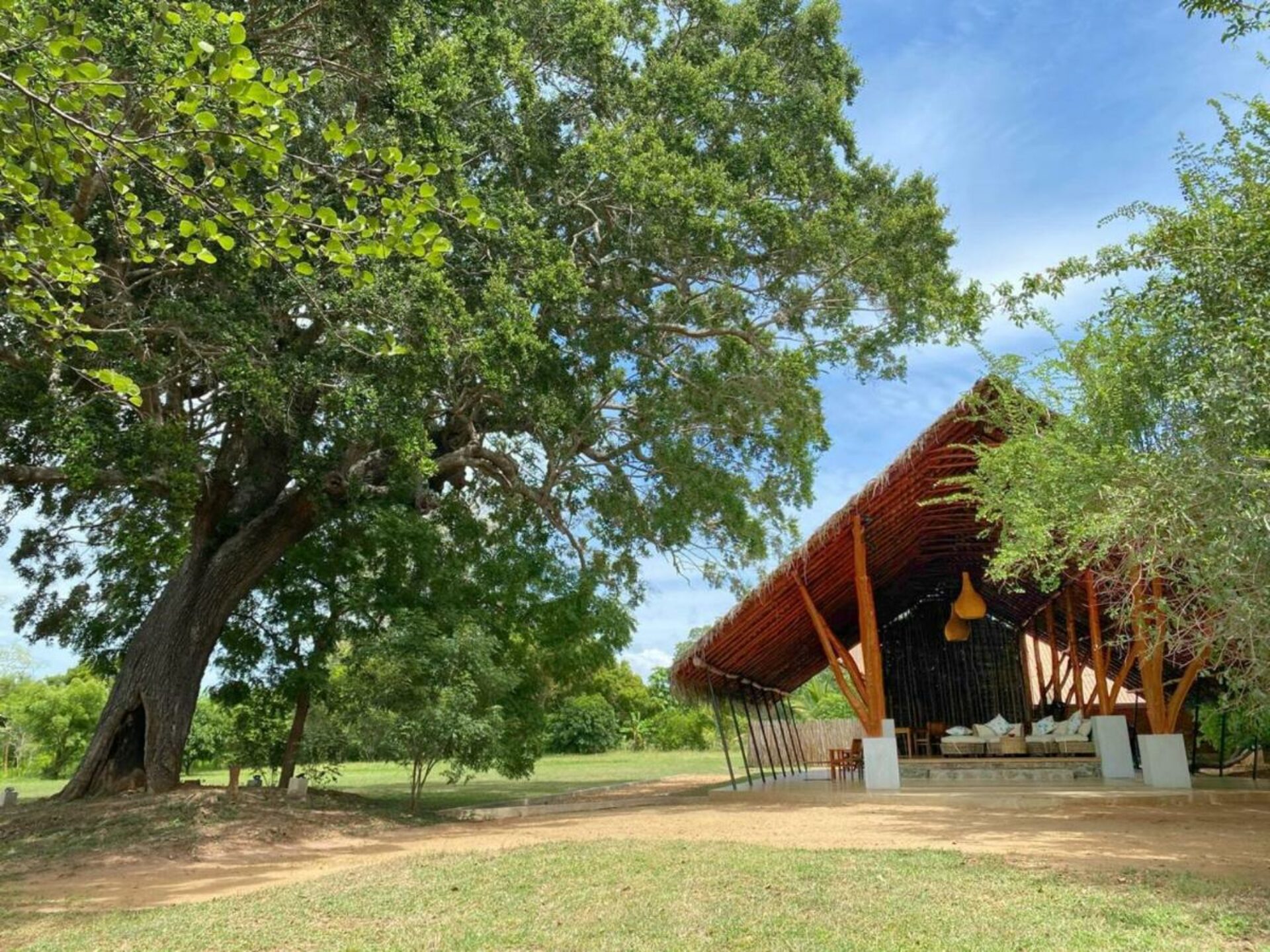 Thamaravila Wilpattu Wilpattu National Park Rondreis Sri Lanka Vakantie Original Asia