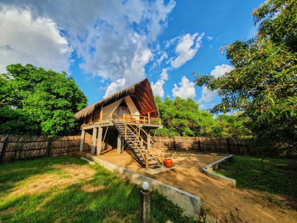 Thamaravila Wilpattu Wilpattu National Park Rondreis Sri Lanka Vakantie Original Asia