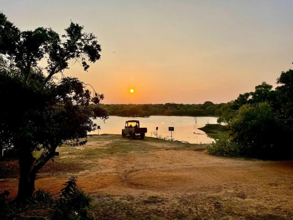 Cinnamon Wild Resort Sri Lanka Tissamaharama original asia rondreis sri lanka malediven jeep