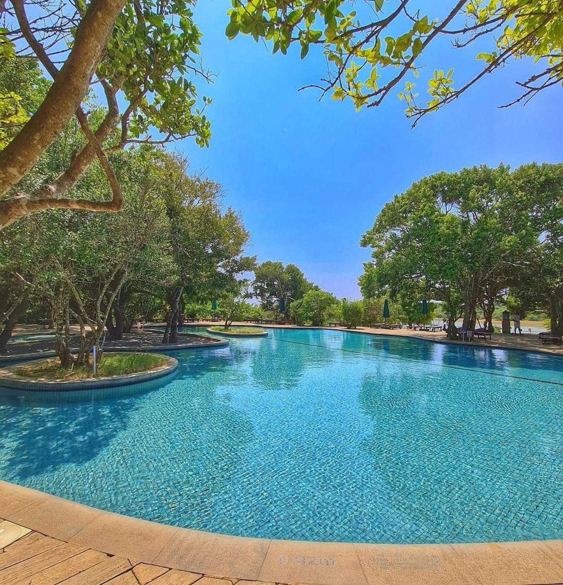 Cinnamon Wild Resort Sri Lanka Tissamaharama original asia rondreis sri lanka malediven pool