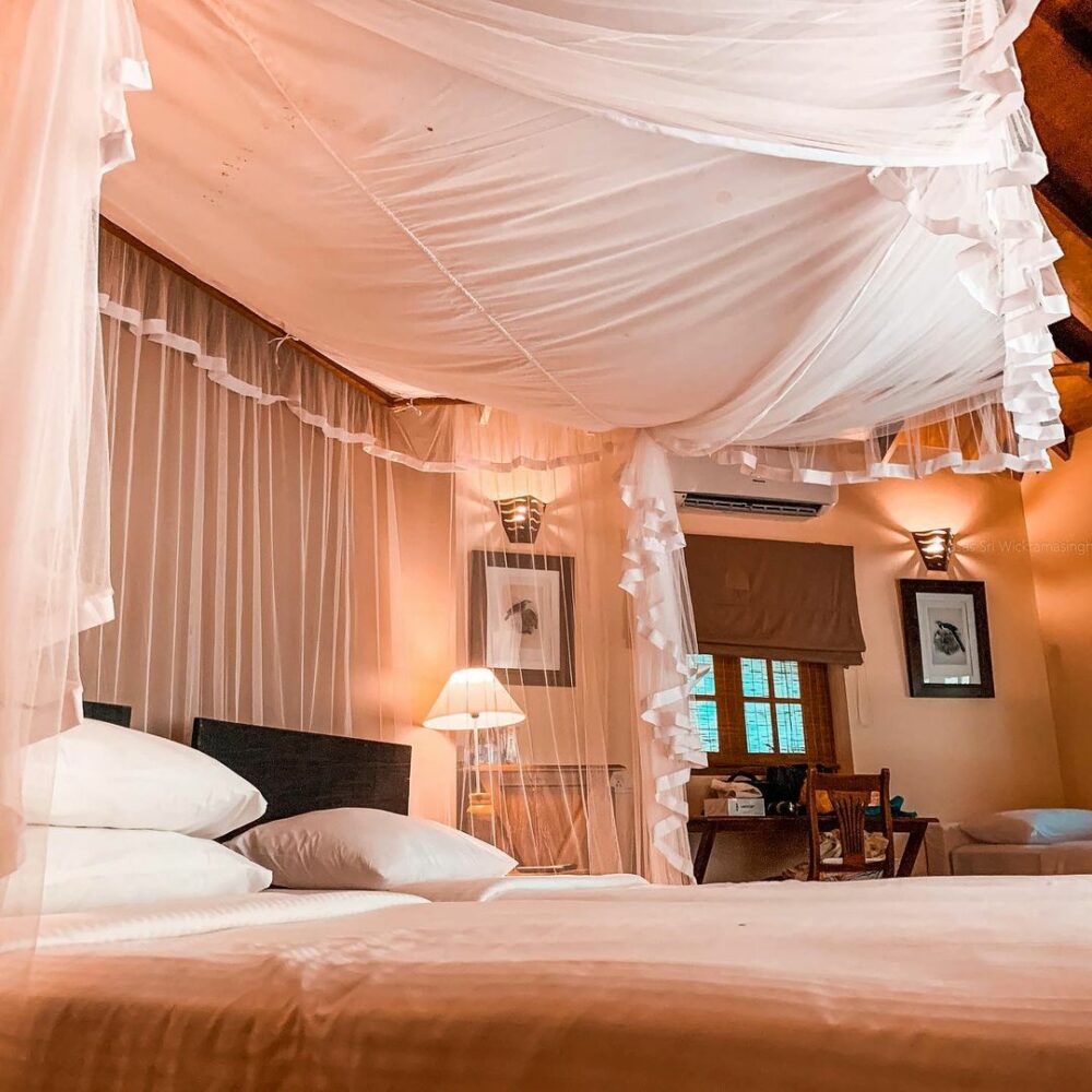 Cinnamon Wild Resort Yala Rondreis Sri Lanka Vakantie Original Asia