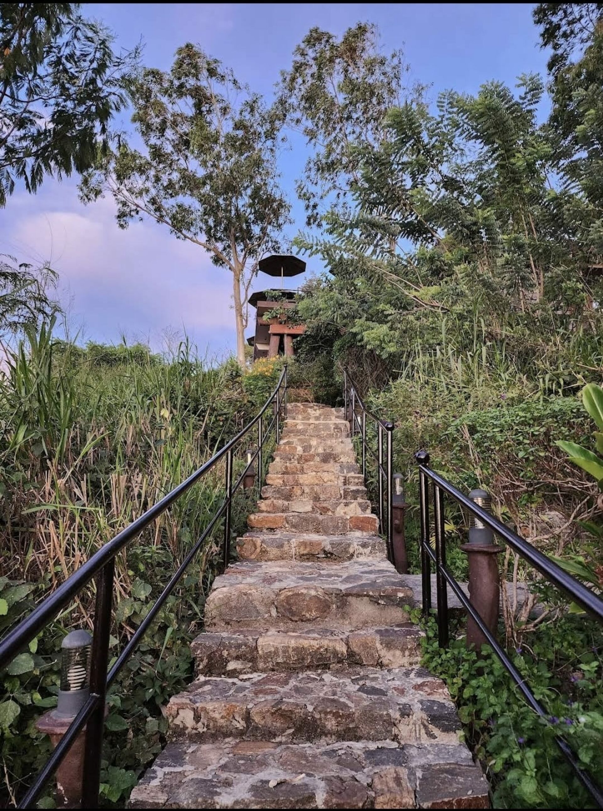 Dream Cliff Mountain Resort Haputale Rondreis Sri Lanka Vakantie Original Asia