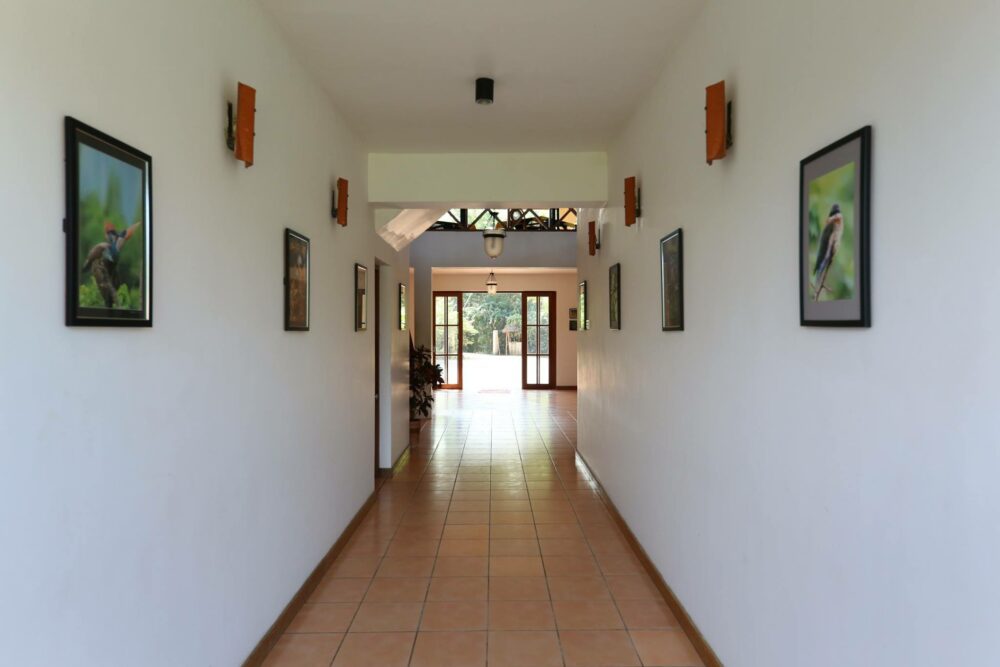 Hibiscus Garden Resort Tissamaharama Rondreis Sri Lanka Vakantie Original Asia